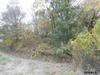 2950 Co Rd 26, Morse Bluff NE 68648